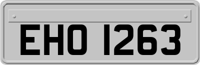 EHO1263