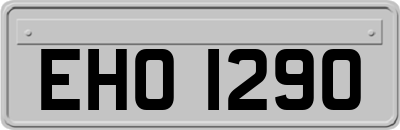 EHO1290