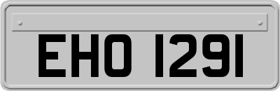 EHO1291
