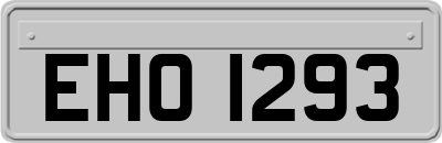 EHO1293