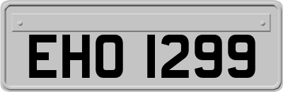 EHO1299