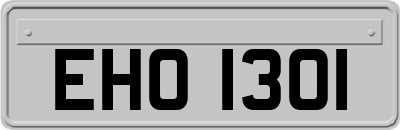 EHO1301