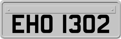 EHO1302
