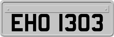 EHO1303