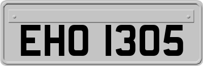 EHO1305