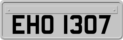 EHO1307