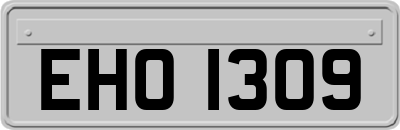 EHO1309