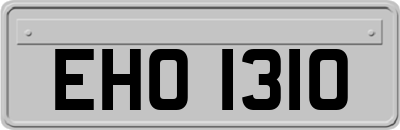 EHO1310
