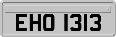 EHO1313