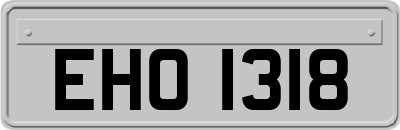 EHO1318