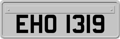 EHO1319