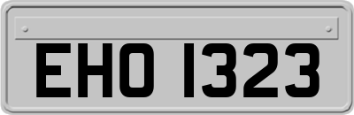 EHO1323