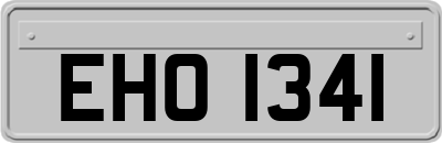 EHO1341