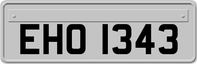 EHO1343