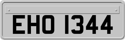 EHO1344