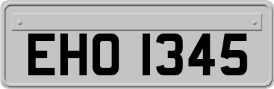 EHO1345