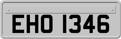 EHO1346