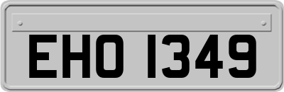 EHO1349