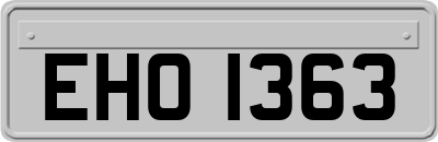 EHO1363