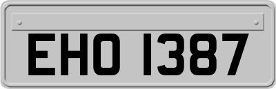 EHO1387