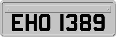 EHO1389