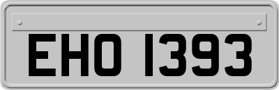 EHO1393