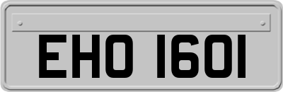 EHO1601