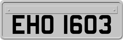 EHO1603