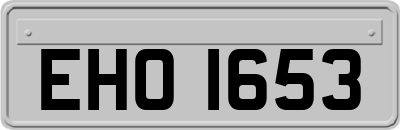 EHO1653
