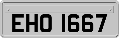 EHO1667