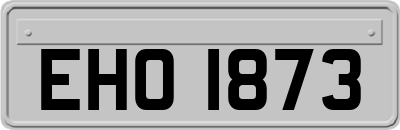 EHO1873