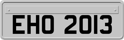 EHO2013