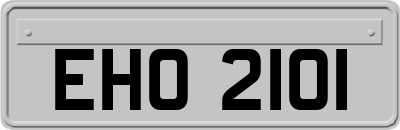 EHO2101