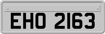 EHO2163