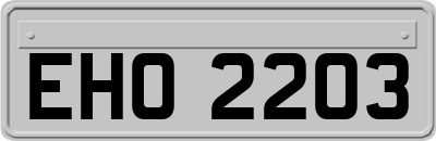 EHO2203