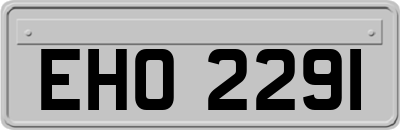 EHO2291