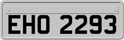 EHO2293