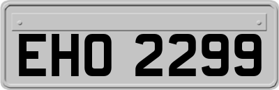 EHO2299