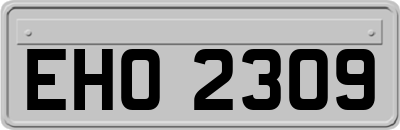 EHO2309