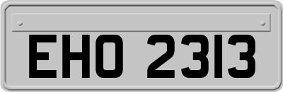 EHO2313