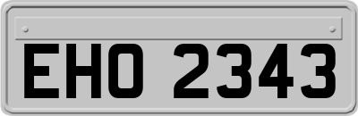 EHO2343