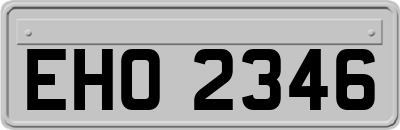 EHO2346
