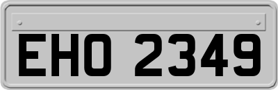 EHO2349