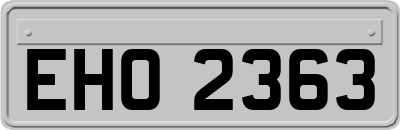 EHO2363