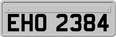 EHO2384