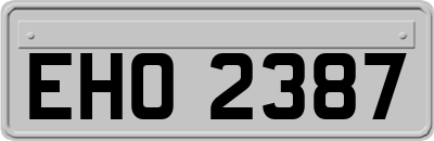 EHO2387
