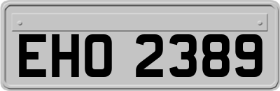 EHO2389