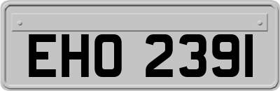 EHO2391