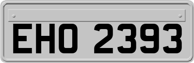 EHO2393