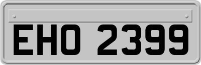 EHO2399